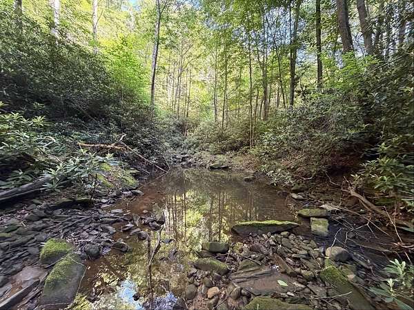 49 Acres of Agricultural Land for Sale in Pound, Virginia