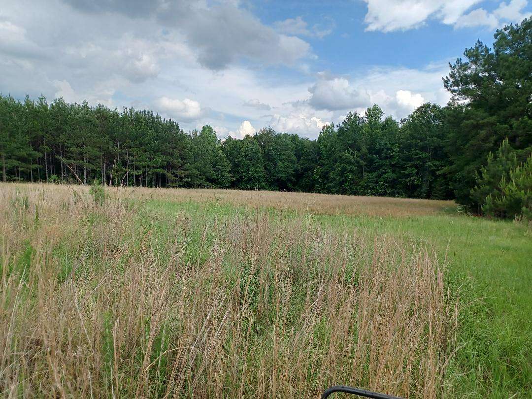 100 Acres of Recreational Land with Home for Sale in Coffeeville, Alabama