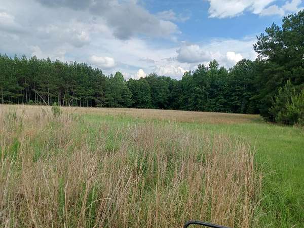 100 Acres of Recreational Land with Home for Sale in Coffeeville, Alabama