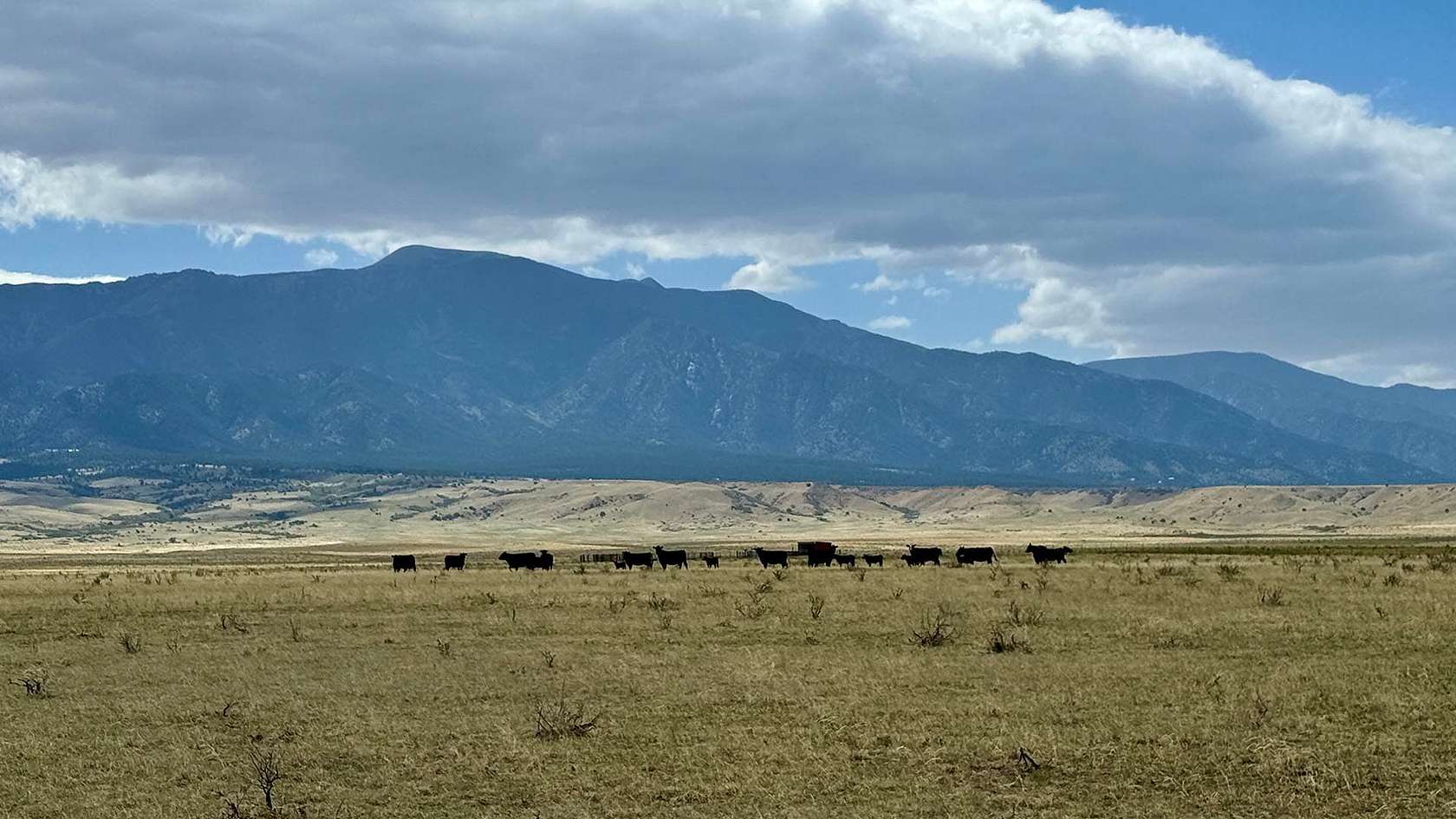 640 Acres of Agricultural & Residential Land for Sale in Rye, Colorado