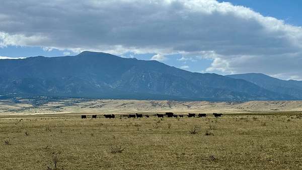 640 Acres of Agricultural & Residential Land for Sale in Rye, Colorado