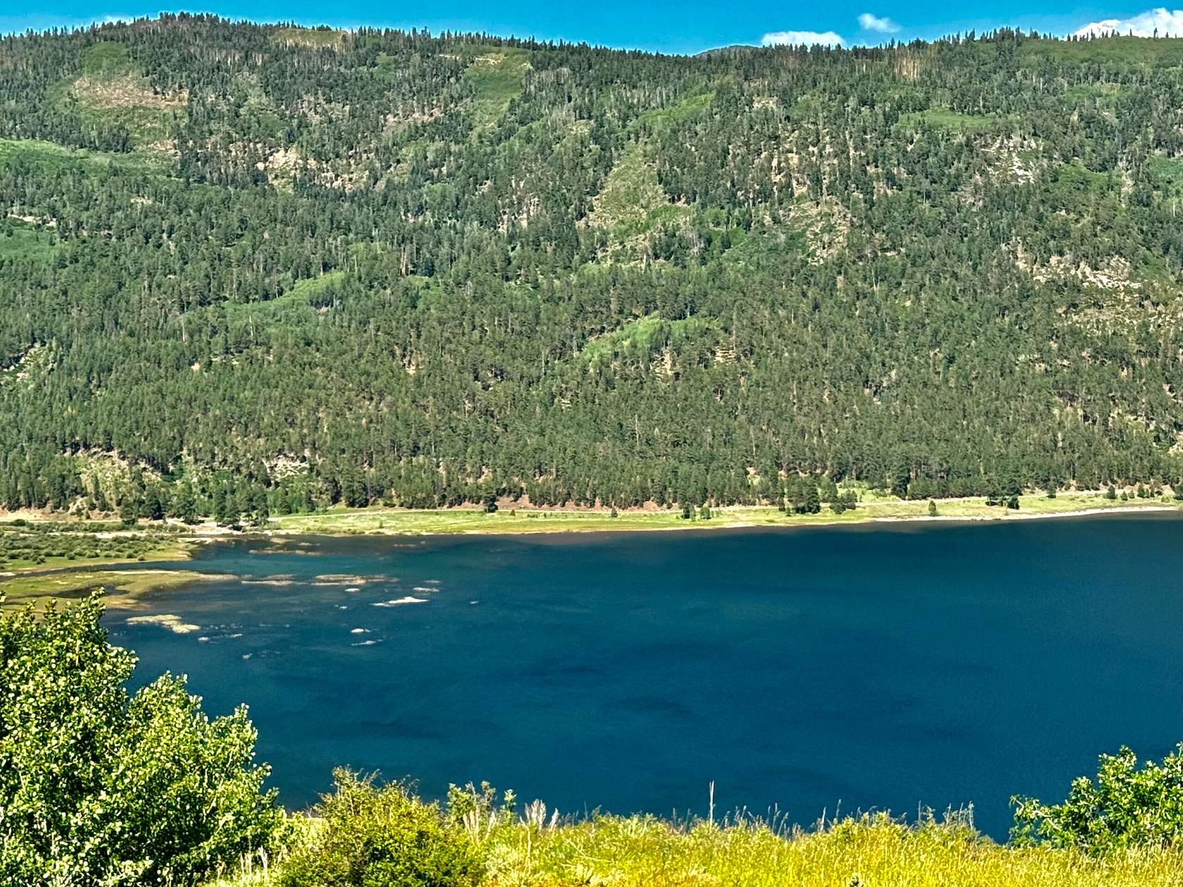 40 Acres of Recreational & Residential Land for Sale in Bayfield, Colorado