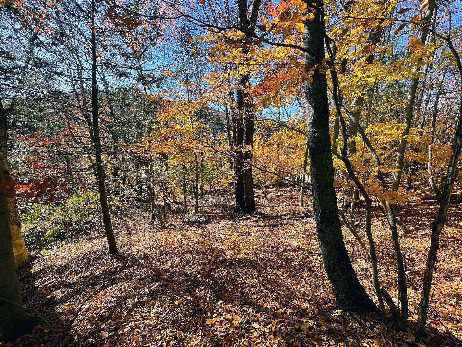 0.35 Acres of Land for Sale in Woodbourne, New York