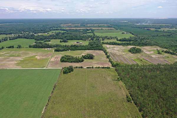 60 Acres of Land for Sale in Jasper, Florida