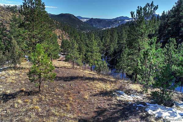 35.6 Acres of Recreational & Residential Land for Sale in Pine Grove, Colorado