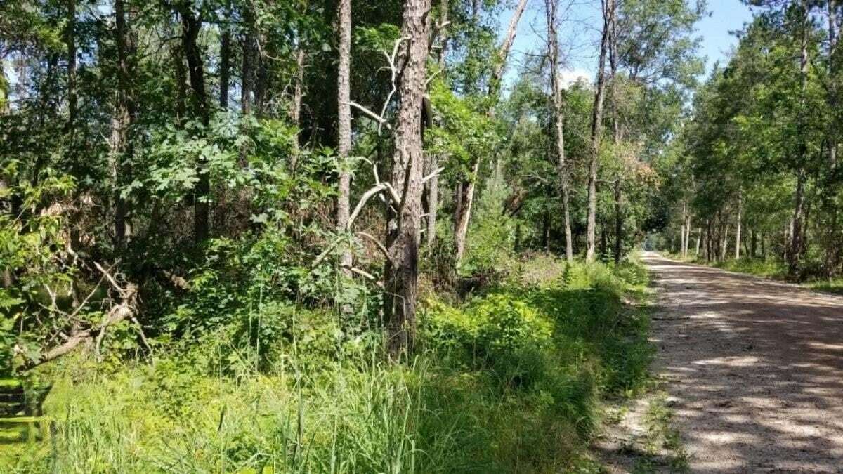 5 Acres of Land for Sale in Baldwin, Michigan