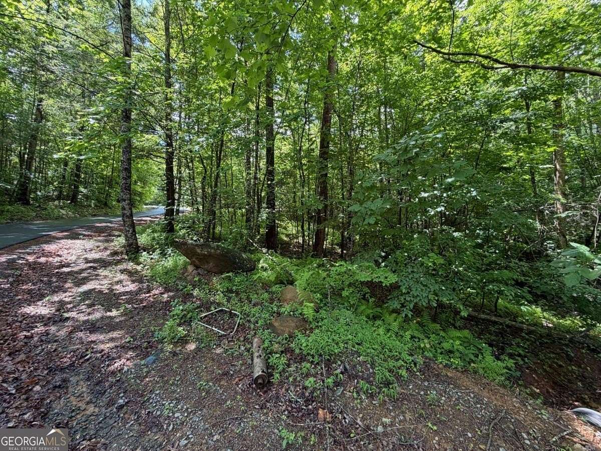 2.75 Acres of Land for Sale in Epworth, Georgia