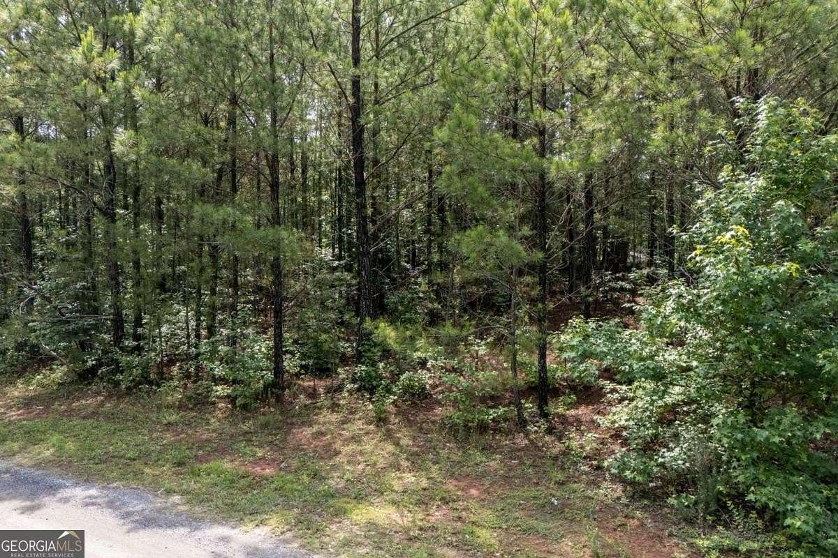 4 Acres of Land for Sale in Palmetto, Georgia