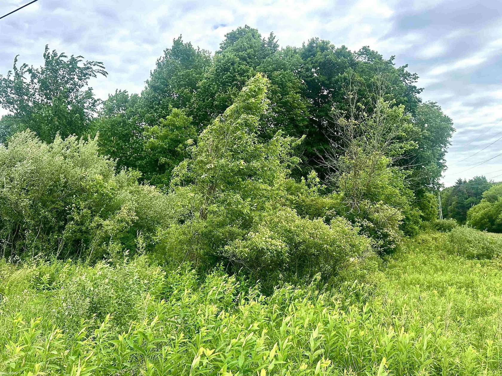 3 Acres of Residential Land for Sale in Riley Township, Michigan