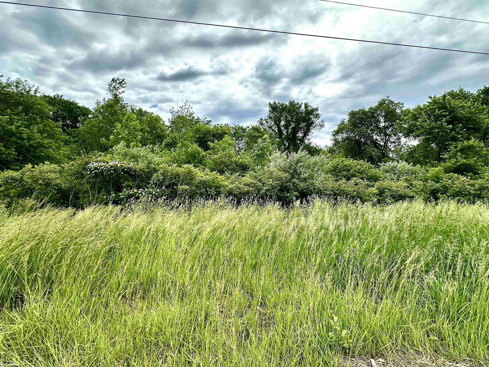 4 Acres of Residential Land for Sale in Riley Township, Michigan