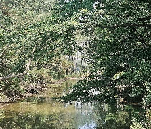0.4 Acres of Residential Land for Sale in Onancock, Virginia