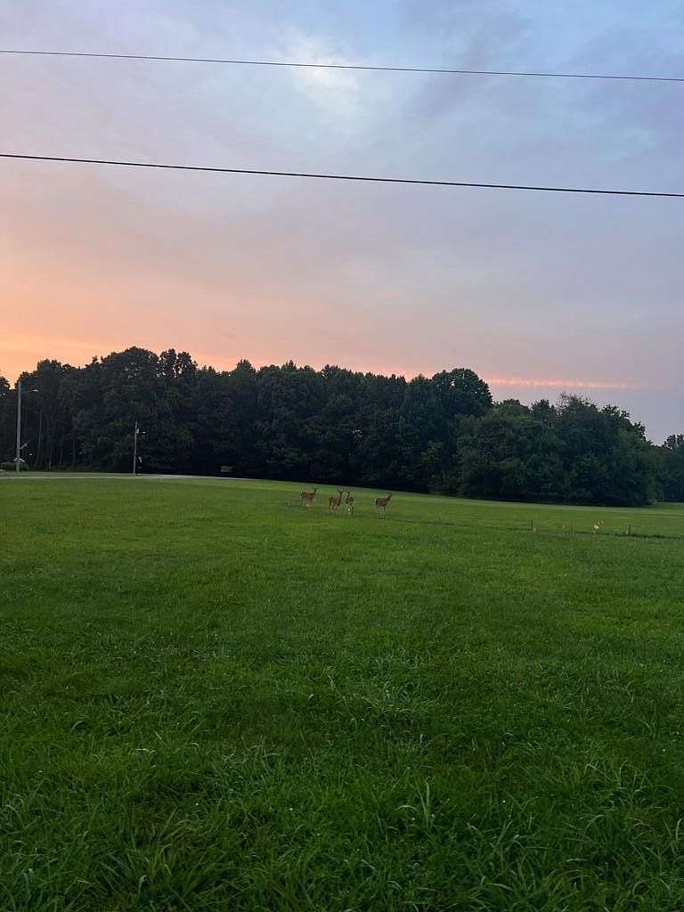 3 Acres of Residential Land for Sale in McKenzie, Tennessee