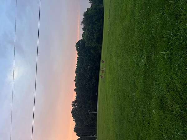 3 Acres of Residential Land for Sale in McKenzie, Tennessee