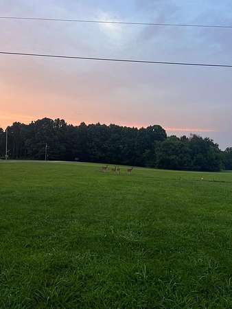 3 Acres of Residential Land for Sale in McKenzie, Tennessee