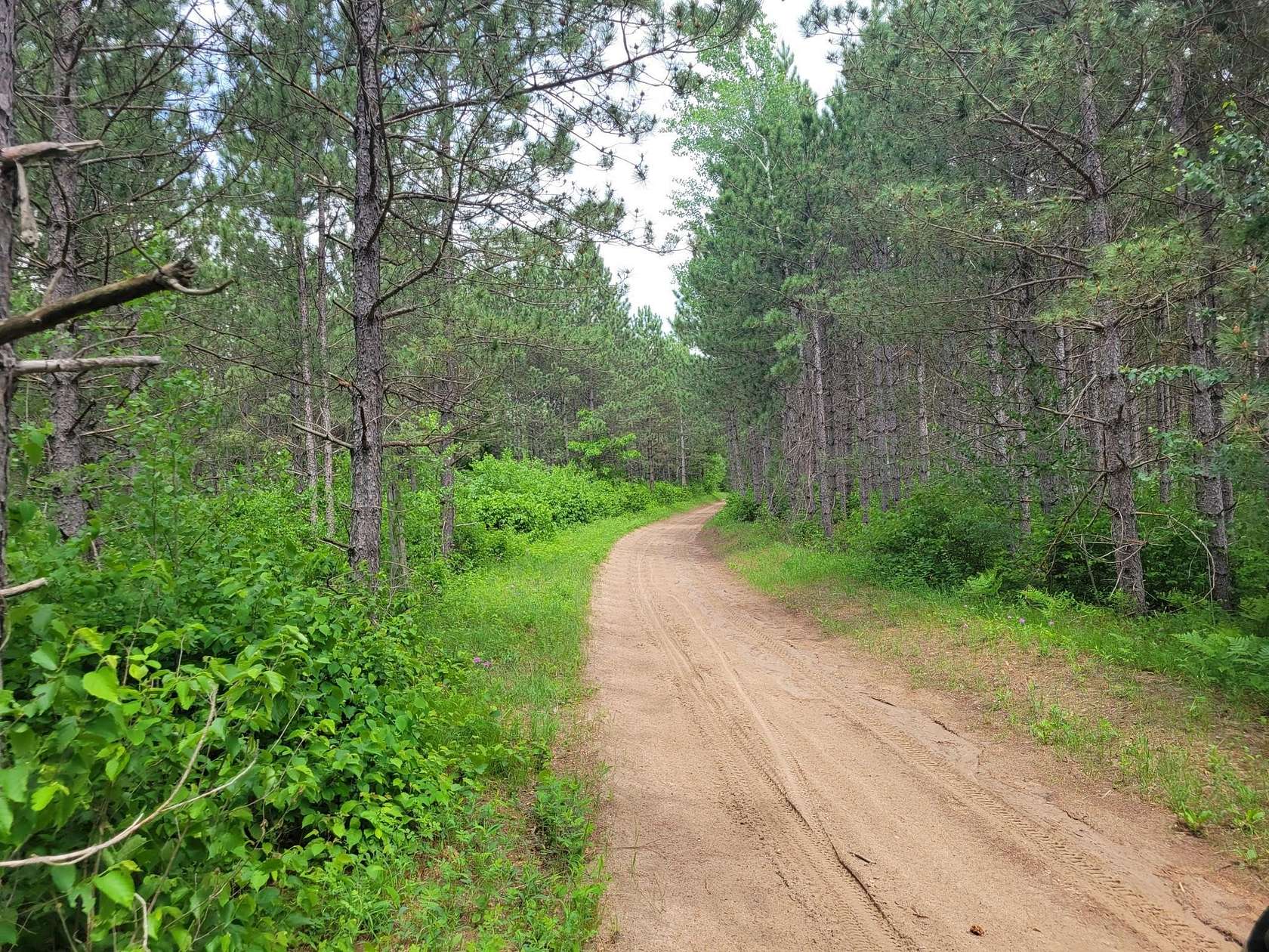 40 Acres of Recreational Land for Sale in Nevis, Minnesota