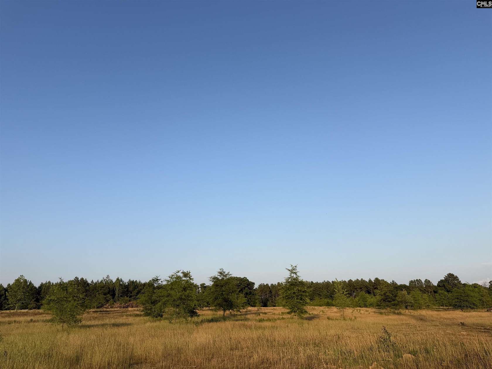 8.39 Acres of Residential Land for Sale in Pomaria, South Carolina