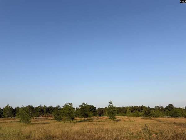 8.39 Acres of Residential Land for Sale in Pomaria, South Carolina