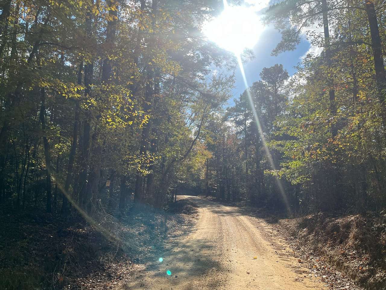 360 Acres of Recreational Land for Sale in Carrollton, Mississippi