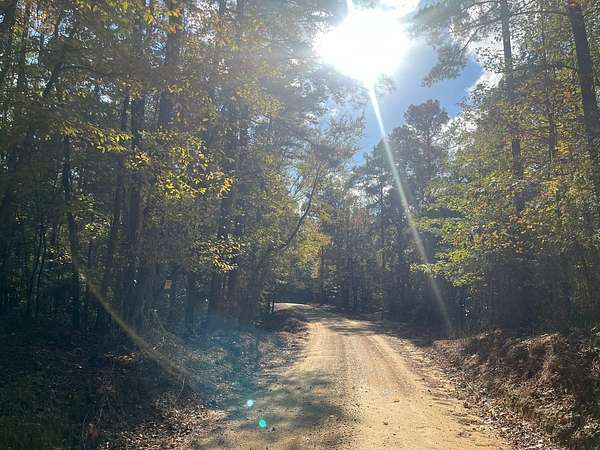 360 Acres of Recreational Land for Sale in Carrollton, Mississippi