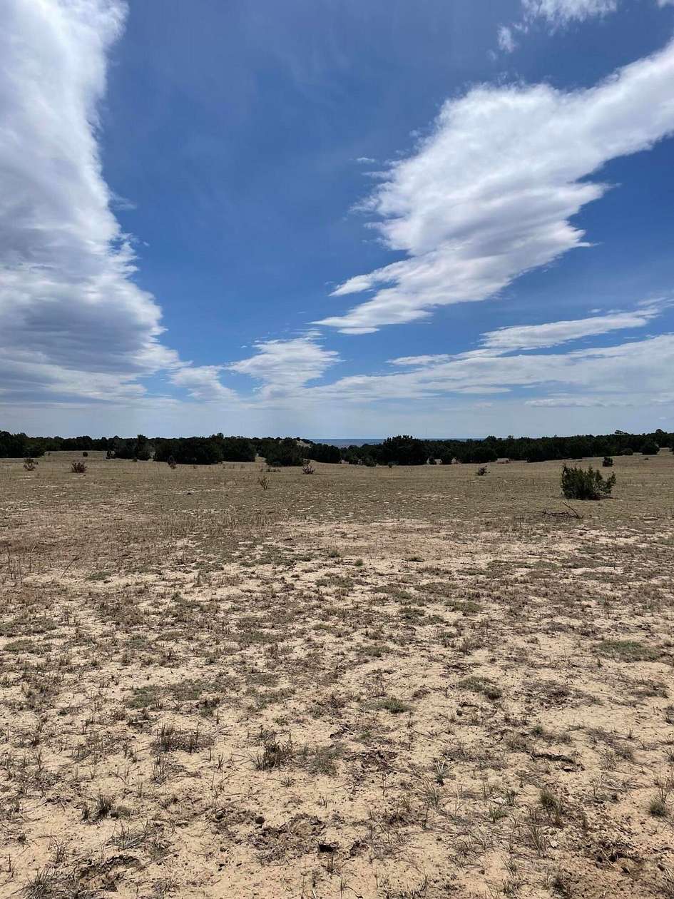 40 Acres of Land for Sale in Tyrone, Colorado