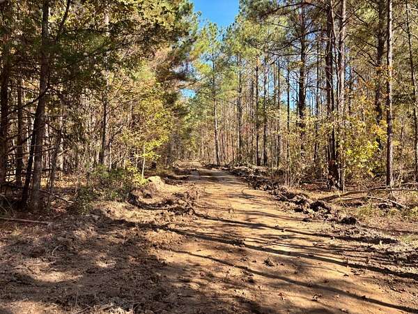 161 Acres of Land for Sale in Shuqualak, Mississippi
