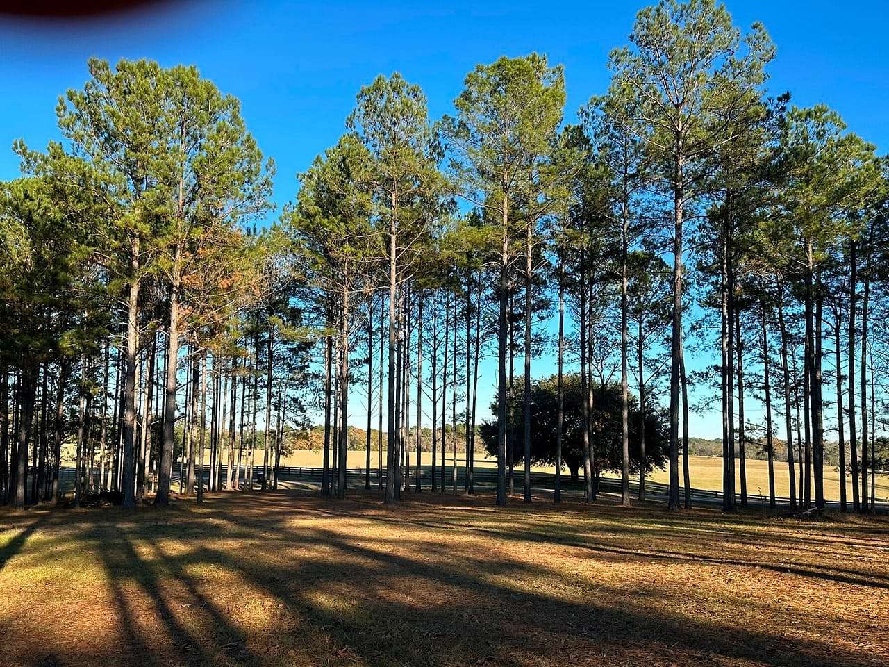 4.5 Acres of Land for Sale in Sumrall, Mississippi