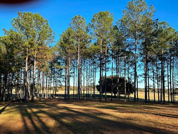 4.5 Acres of Land for Sale in Sumrall, Mississippi