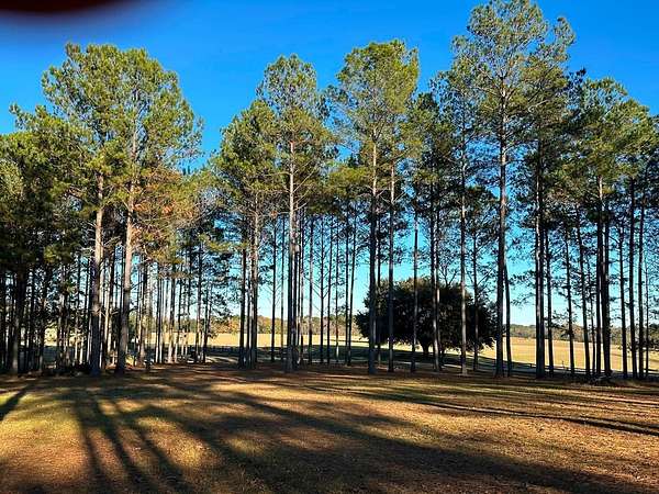 4.5 Acres of Land for Sale in Sumrall, Mississippi