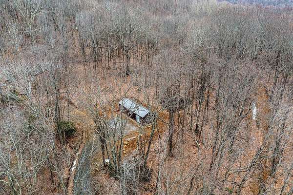 48.9 Acres of Recreational & Residential Land for Sale in West Jefferson, North Carolina