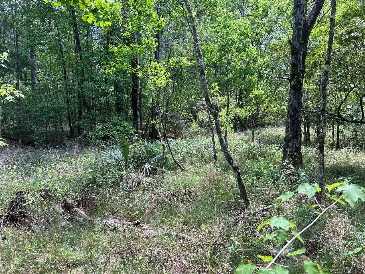 139 Acres of Recreational Land for Sale in Holden, Louisiana