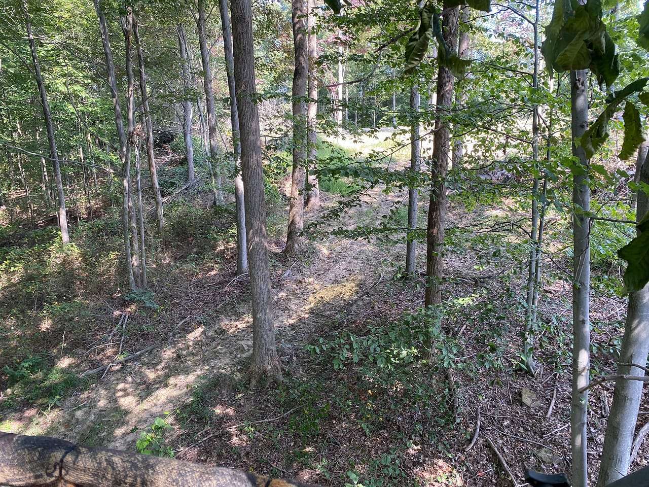 86 Acres of Recreational & Residential Land for Sale in Otway, Ohio