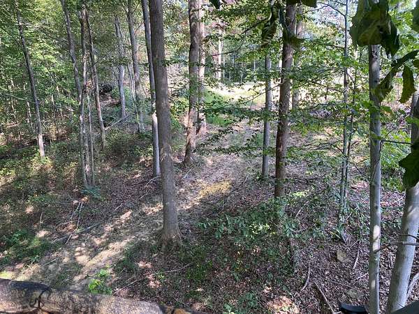 86 Acres of Recreational & Residential Land for Sale in Otway, Ohio