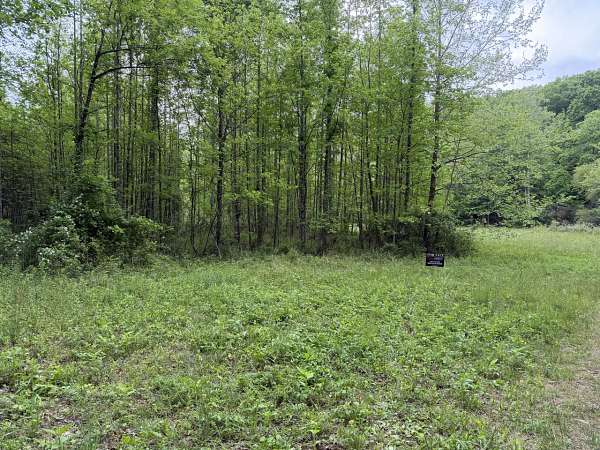 1.5 Acres of Residential Land for Sale in Lambsburg, Virginia