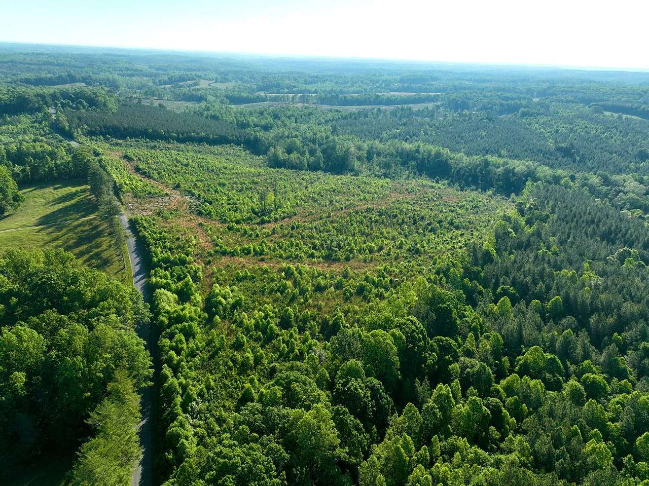 242 Acres of Recreational Land for Sale in Keeling, Virginia