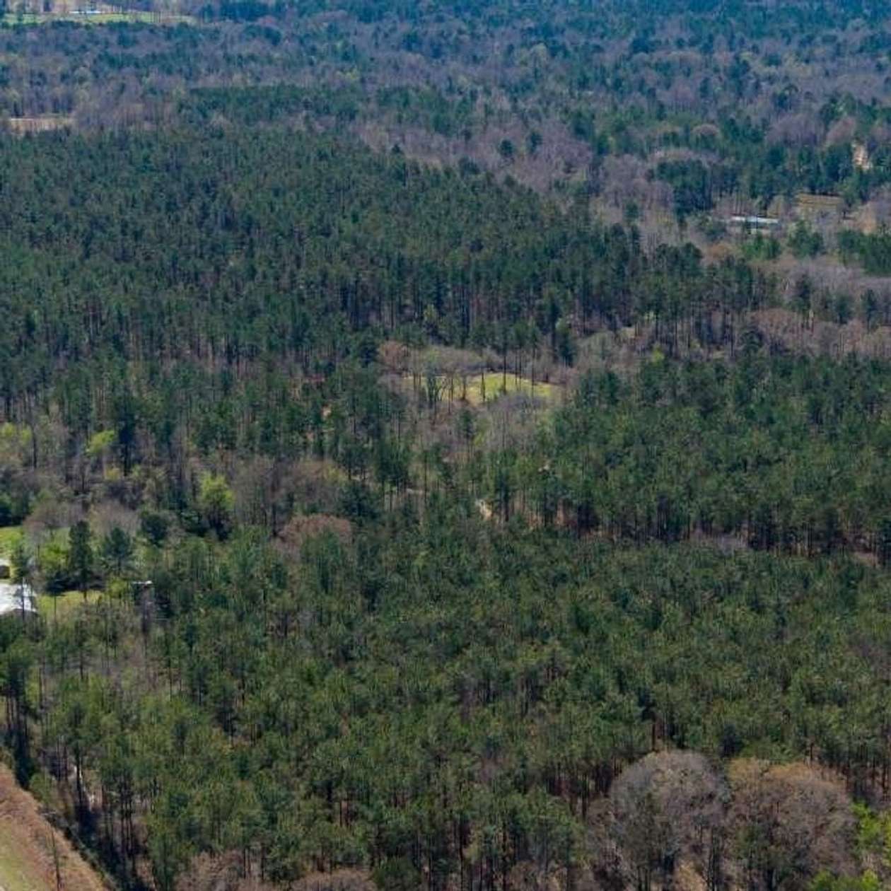 74 Acres of Recreational Land for Sale in Sallis, Mississippi