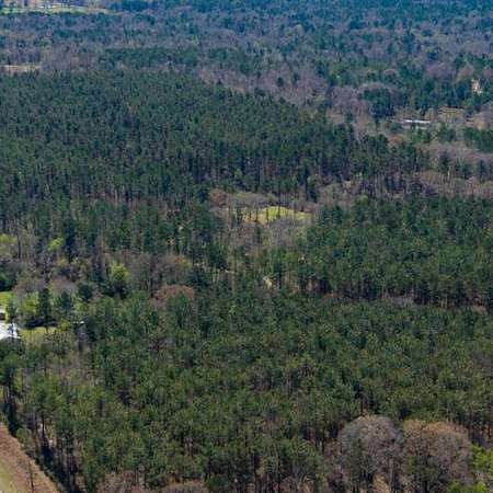74 Acres of Recreational Land for Sale in Sallis, Mississippi