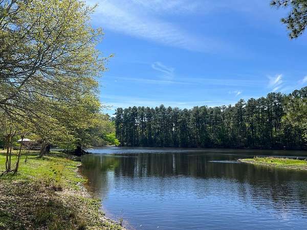 69 Acres of Recreational & Residential Land for Sale in Plantersville, Texas