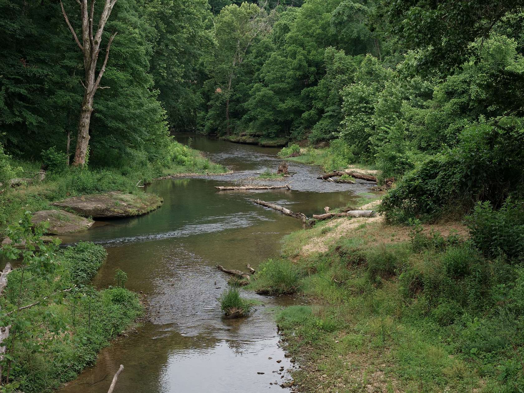 30.6 Acres of Recreational Land with Home for Sale in Nunnelly, Tennessee