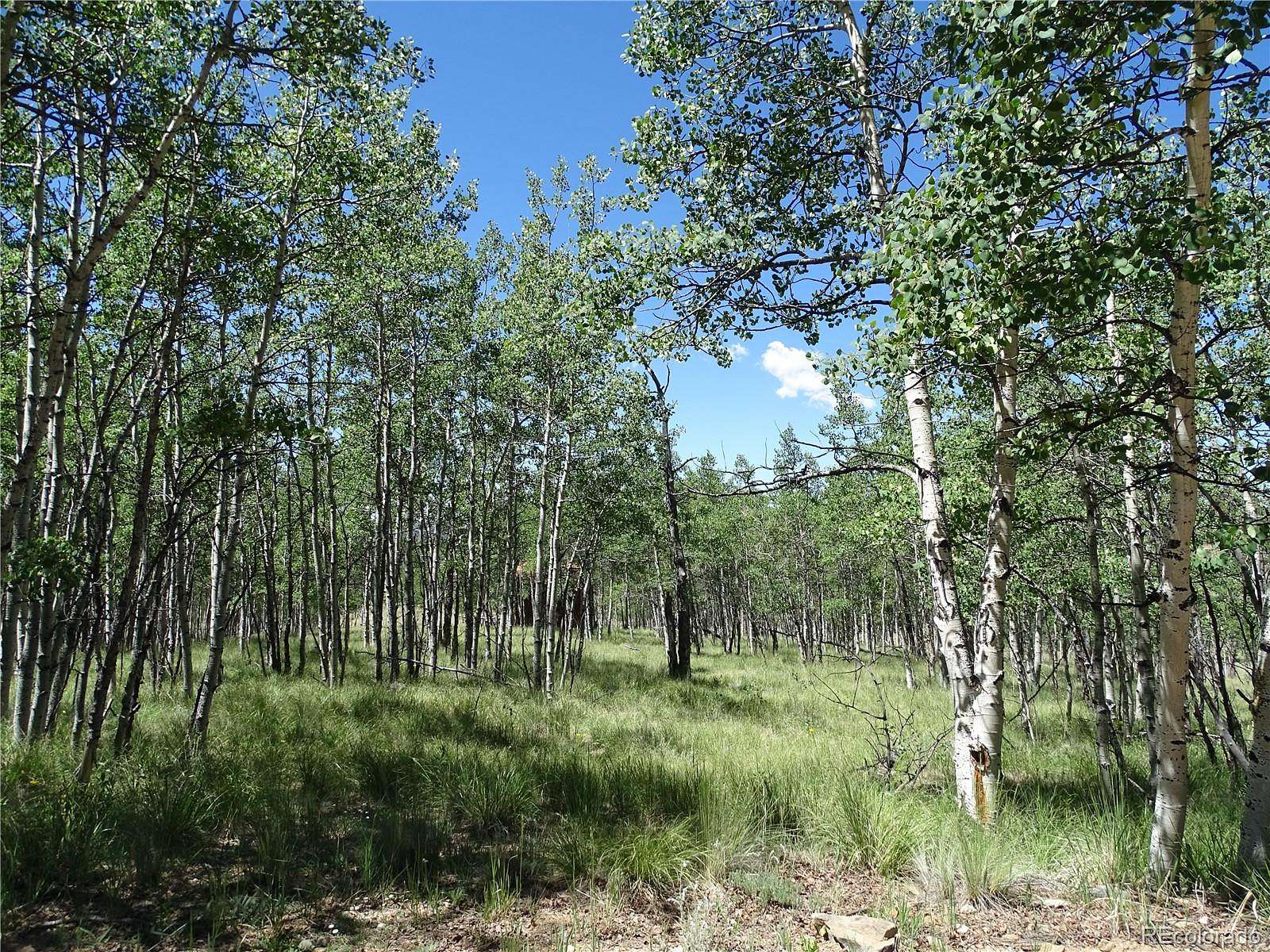 3 Acres of Residential Land for Sale in Como, Colorado