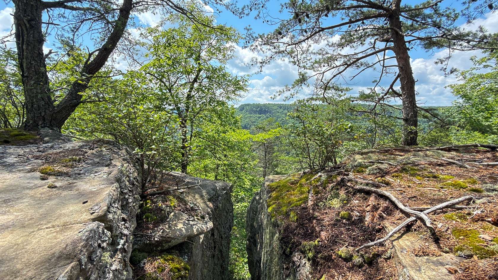 380 Acres of Land for Sale in Jamestown, Tennessee