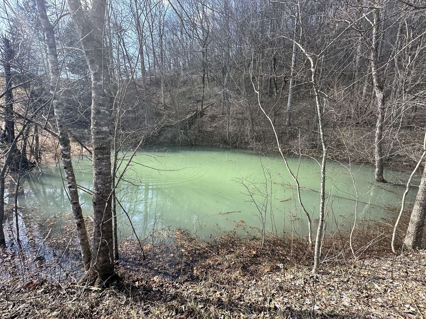 7.29 Acres of Land for Sale in Pleasant Shade, Tennessee