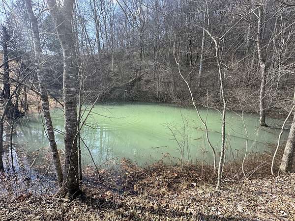 7.29 Acres of Land for Sale in Pleasant Shade, Tennessee