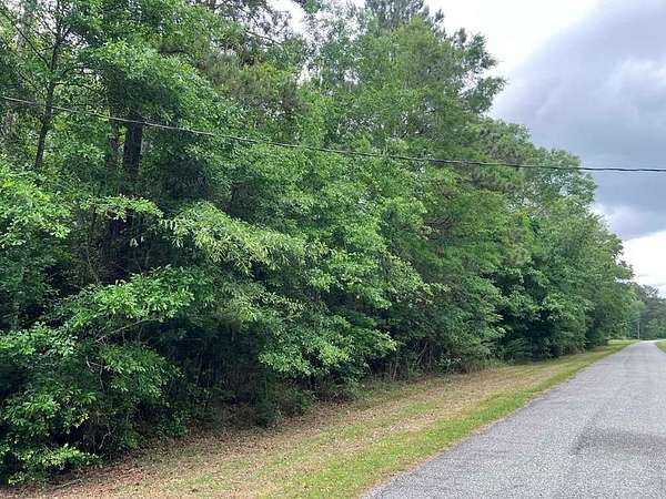 1 Acre of Residential Land for Sale in Jasper, Texas