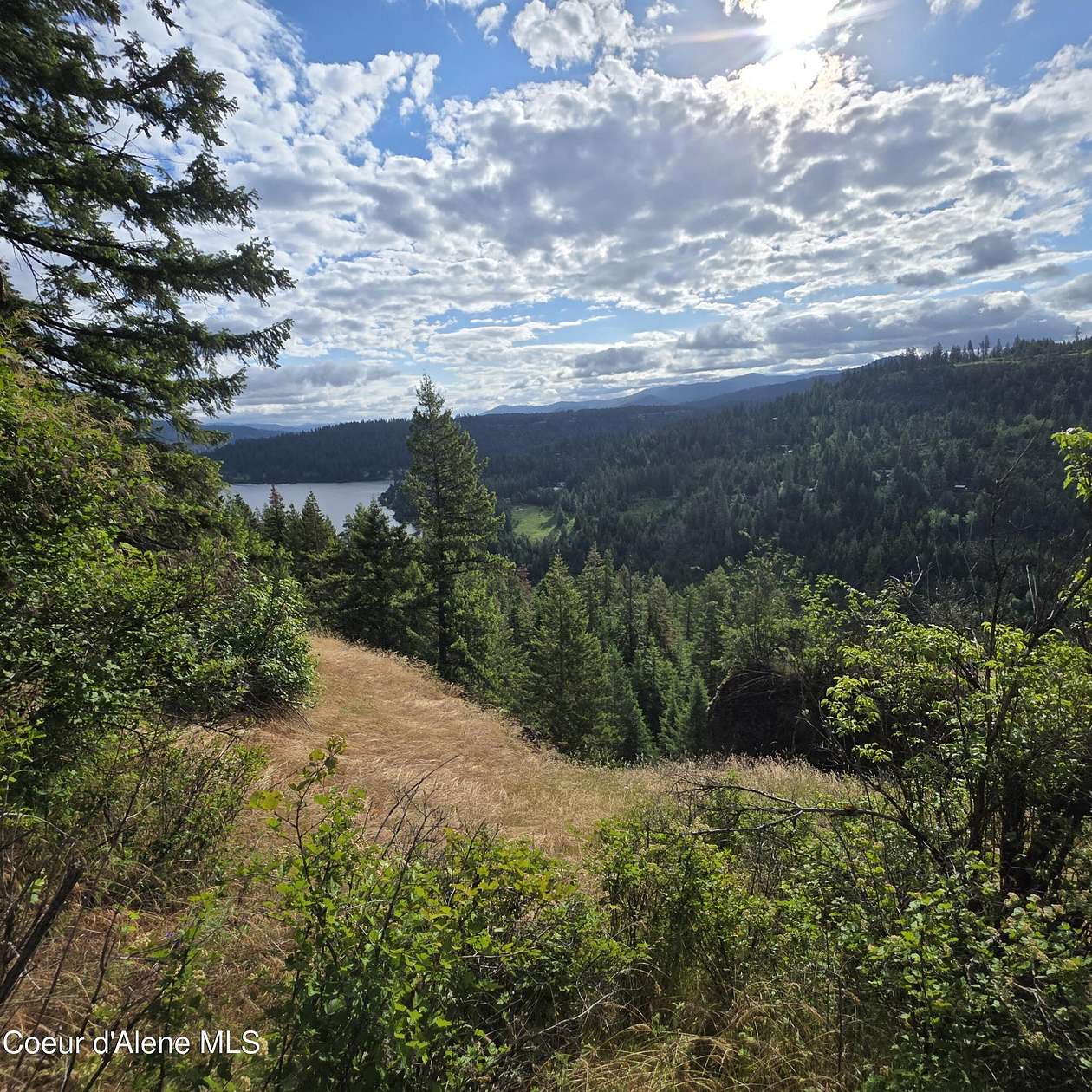 20 Acres of Land for Sale in Harrison, Idaho