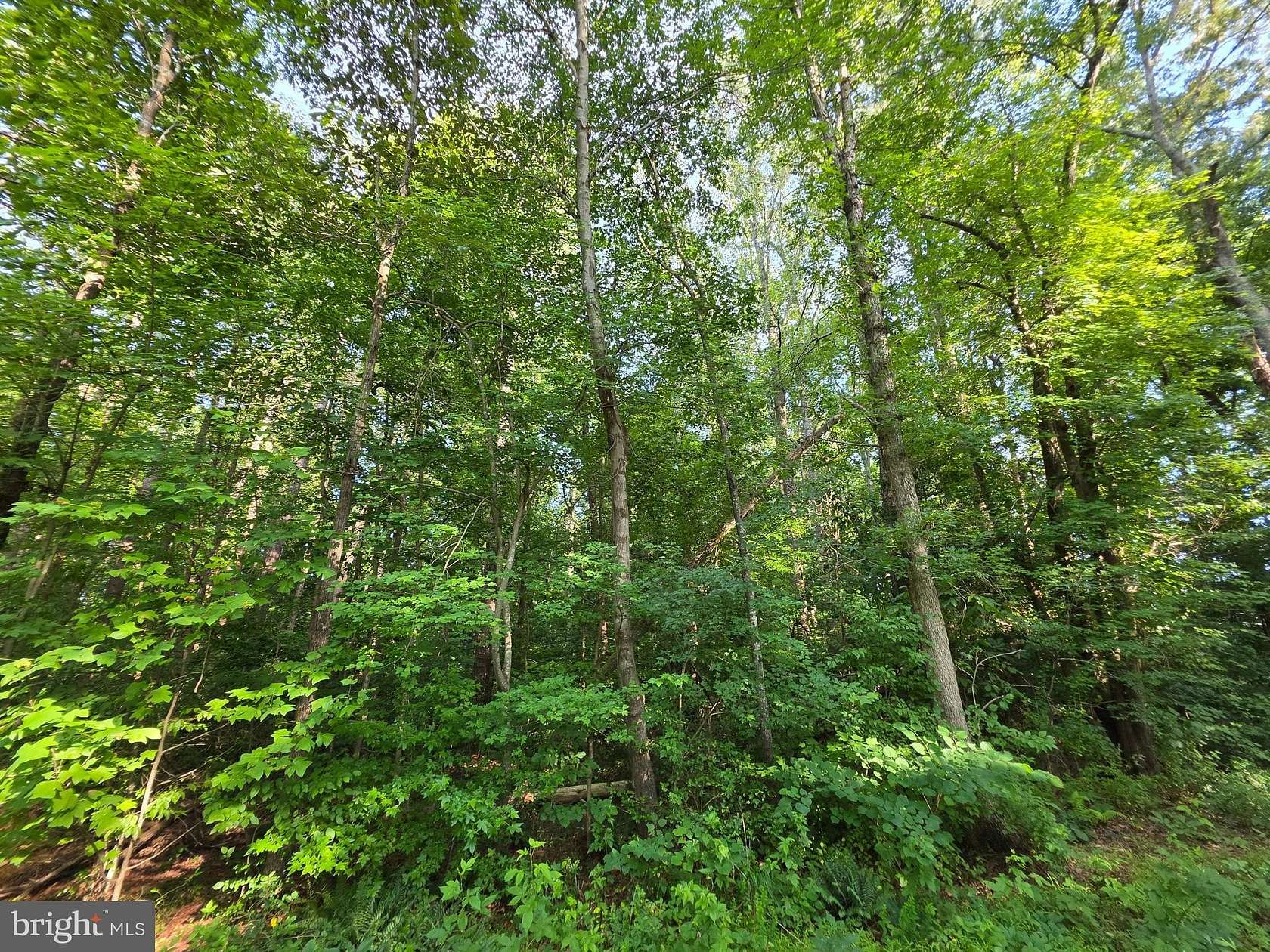 3 Acres of Residential Land for Sale in Montpelier, Virginia