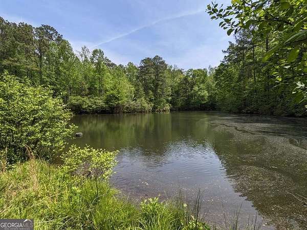 54.3 Acres of Land for Sale in Milton, Georgia