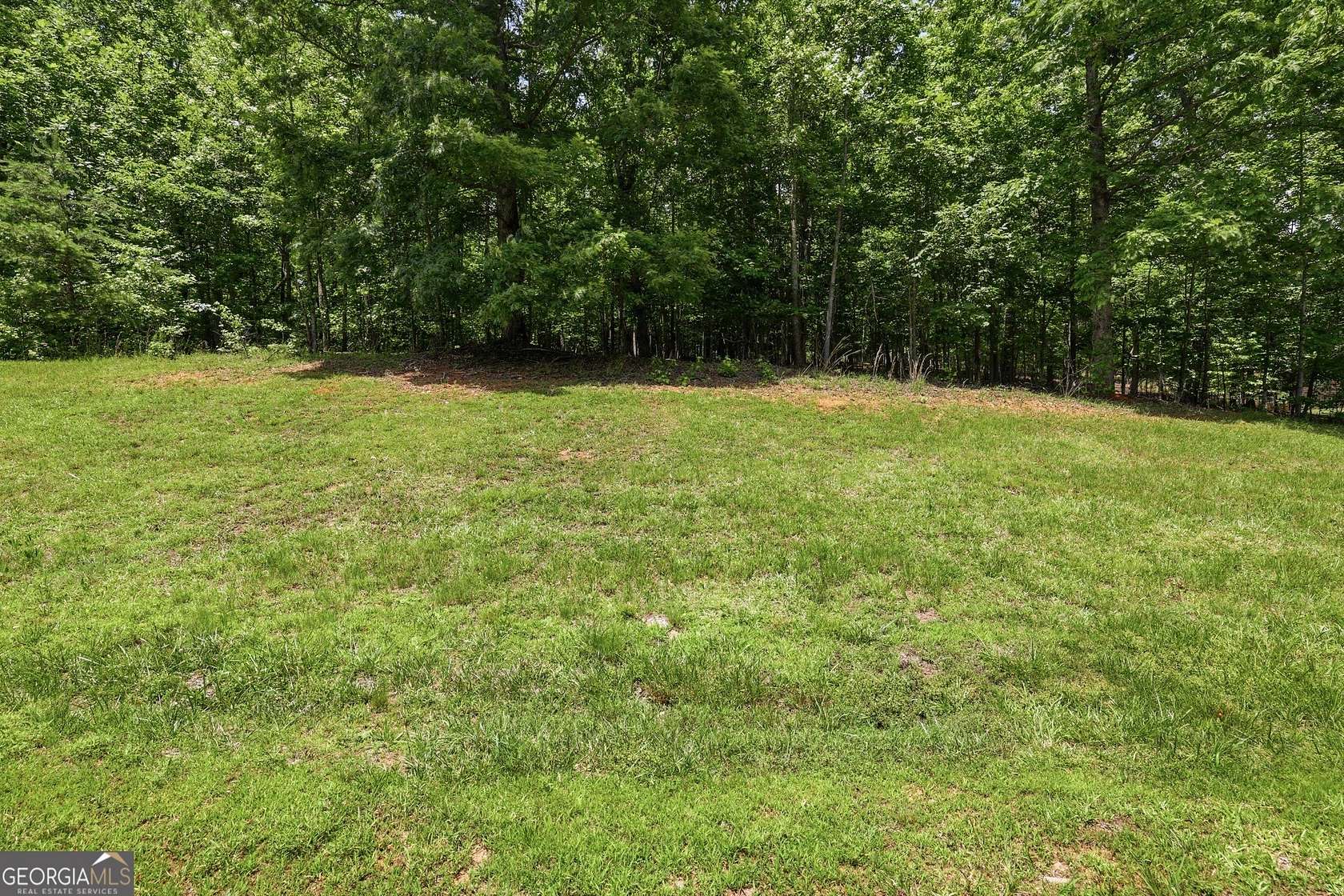 6.17 Acres of Residential Land for Sale in Cleveland, Georgia