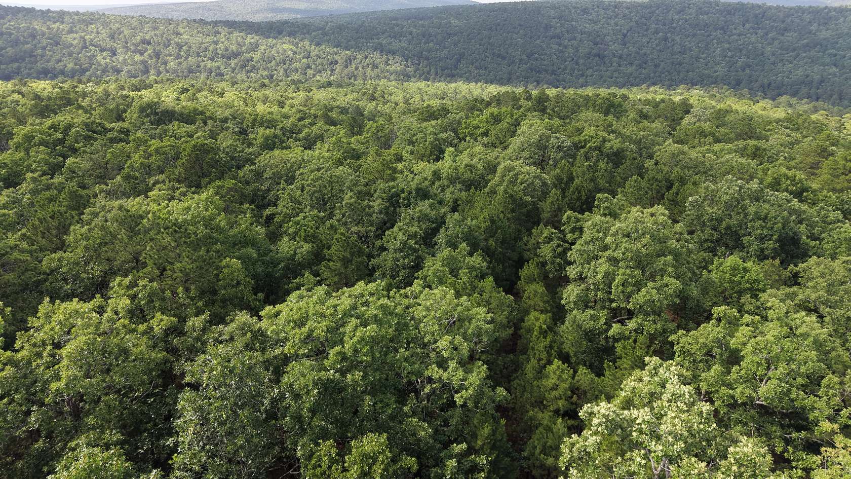 36 Acres of Land for Sale in Panola, Oklahoma