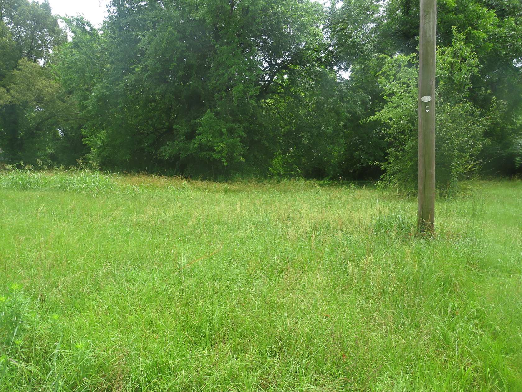 0.18 Acres of Residential Land for Sale in De Kalb, Texas