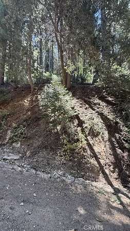 0.07 Acres of Land for Sale in Cedarpines Park, California